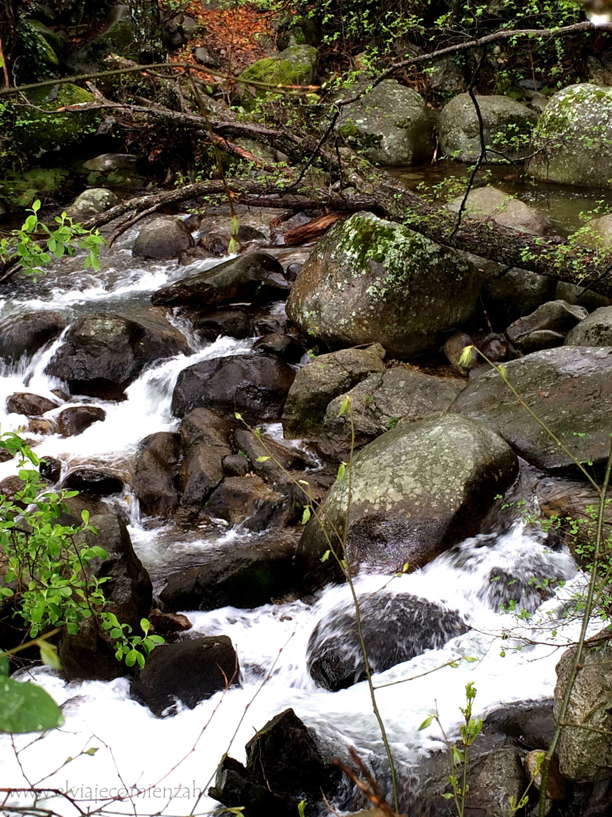 valle del jerte valle del jerte