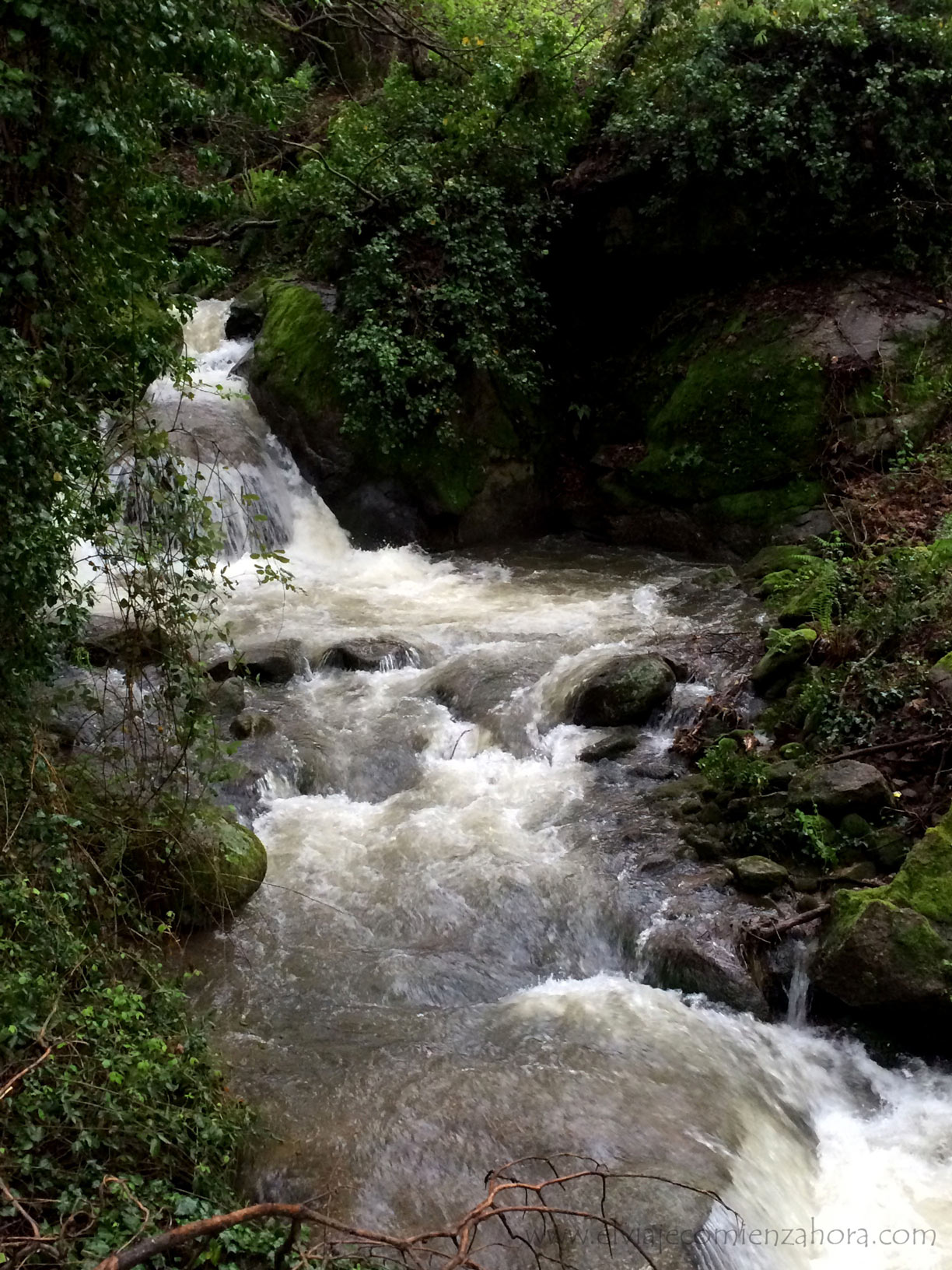 valle del jerte valle del jerte